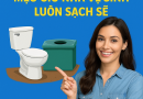 Bể phốt bao lâu thì đầy: Mẹo giữ nhà vệ sinh luôn sạch sẽ