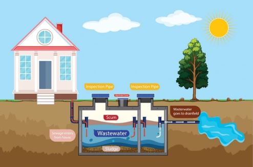 Dấu hiệu cảnh báo ô nhiễm do bể phốt bạn không nên bỏ qua