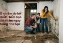 Ô nhiễm do bể phốt: Hiểm họa âm thầm ngay trong nhà bạn