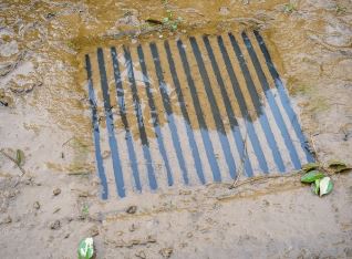 Dấu hiệu cống nghẹt và giải pháp phòng tránh cần biết sớm